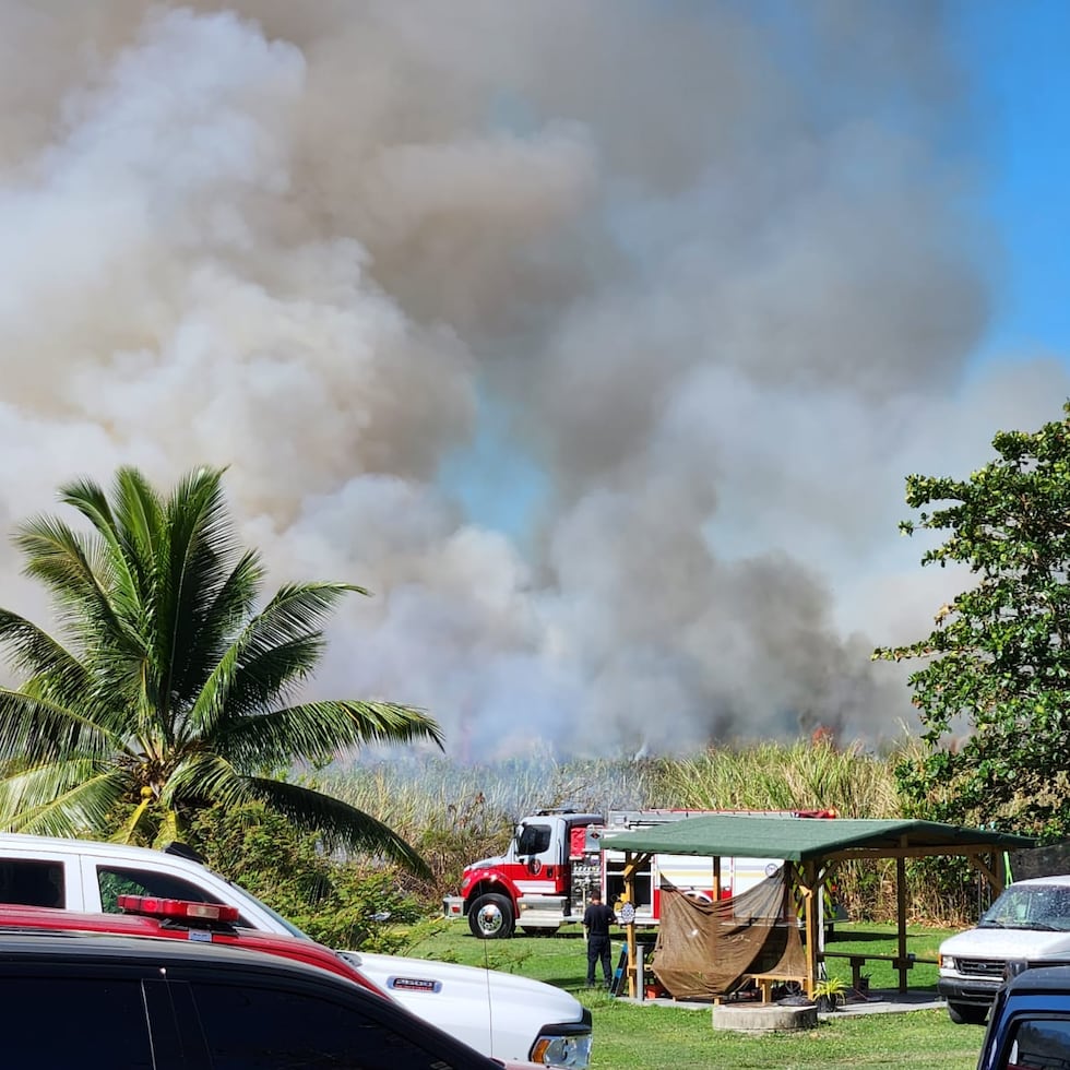 Incendio forestal en el barrio Tortuguero, en Vega Baja.