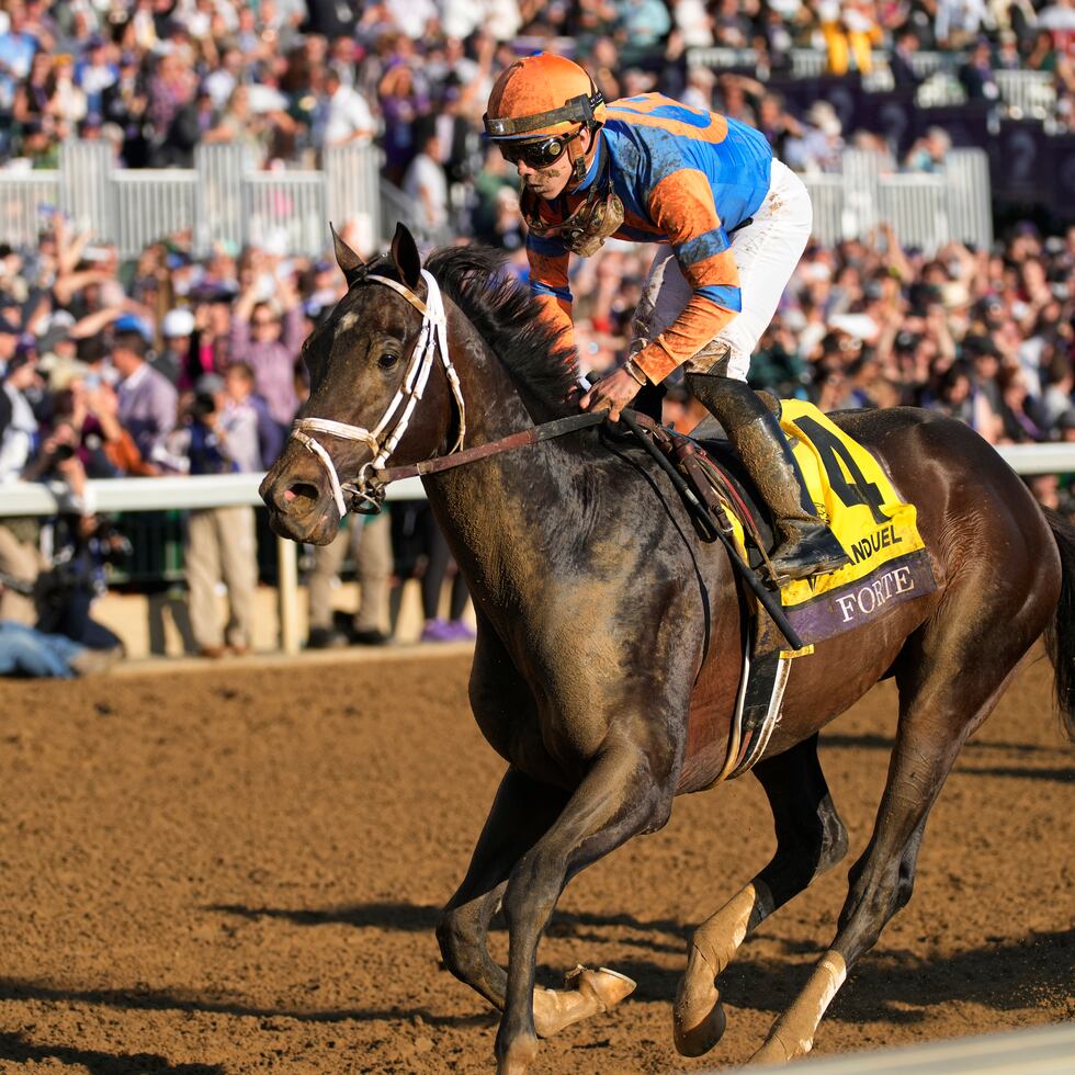 Irad Ortiz Jr. montando a Forte durante la victoria en el Breeders' Cup Juvenile en noviembre pasado, volverá a conducir al ejemplar, favorito para imponerse en el Kentucky Derby.