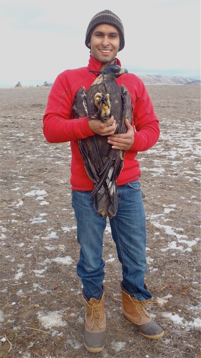 Sergio E. Morales es profesor asociado en el Departamento de Microbiología e Inmunología de la Universidad de Otago, la más antigua de Nueva Zelanda. (Suministrada)