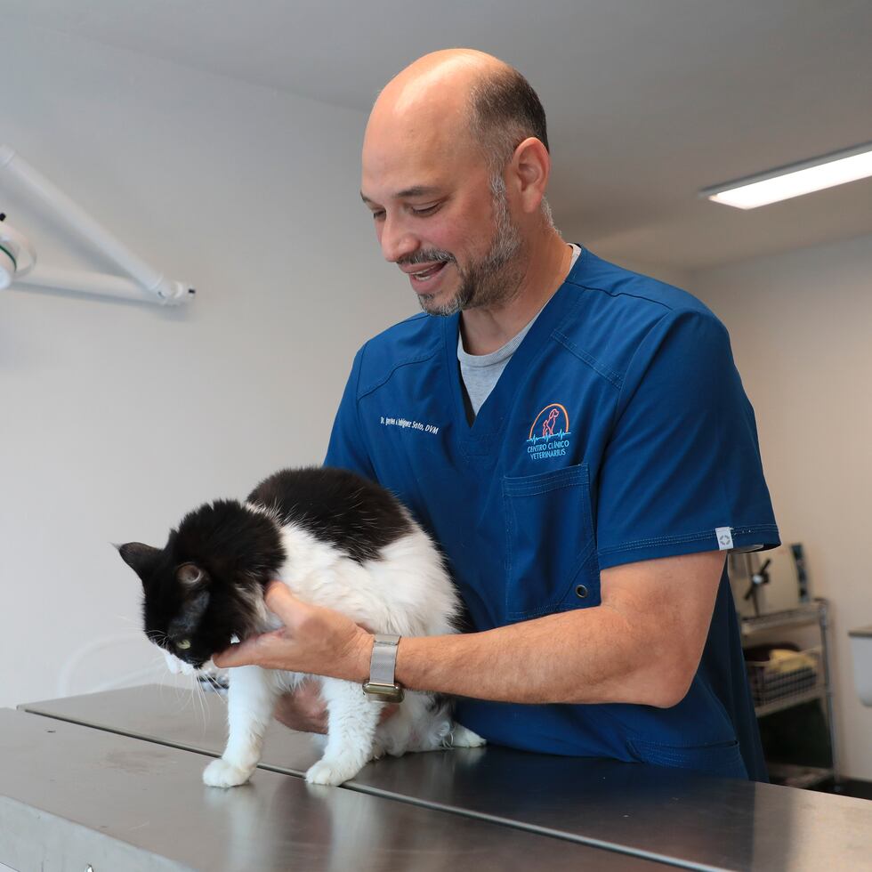 El veterinario Javier Rodríguez explicó que las clínicas de emergencia suelen ser más rigurosas en sus protocolos contra el COVID-19 porque reciben más personas.