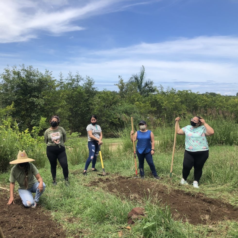 La comunidad escolar de la Concepción Pérez ha recibido talleres sobre  viveros, polinizadores y construcción de huertos, entre otros.