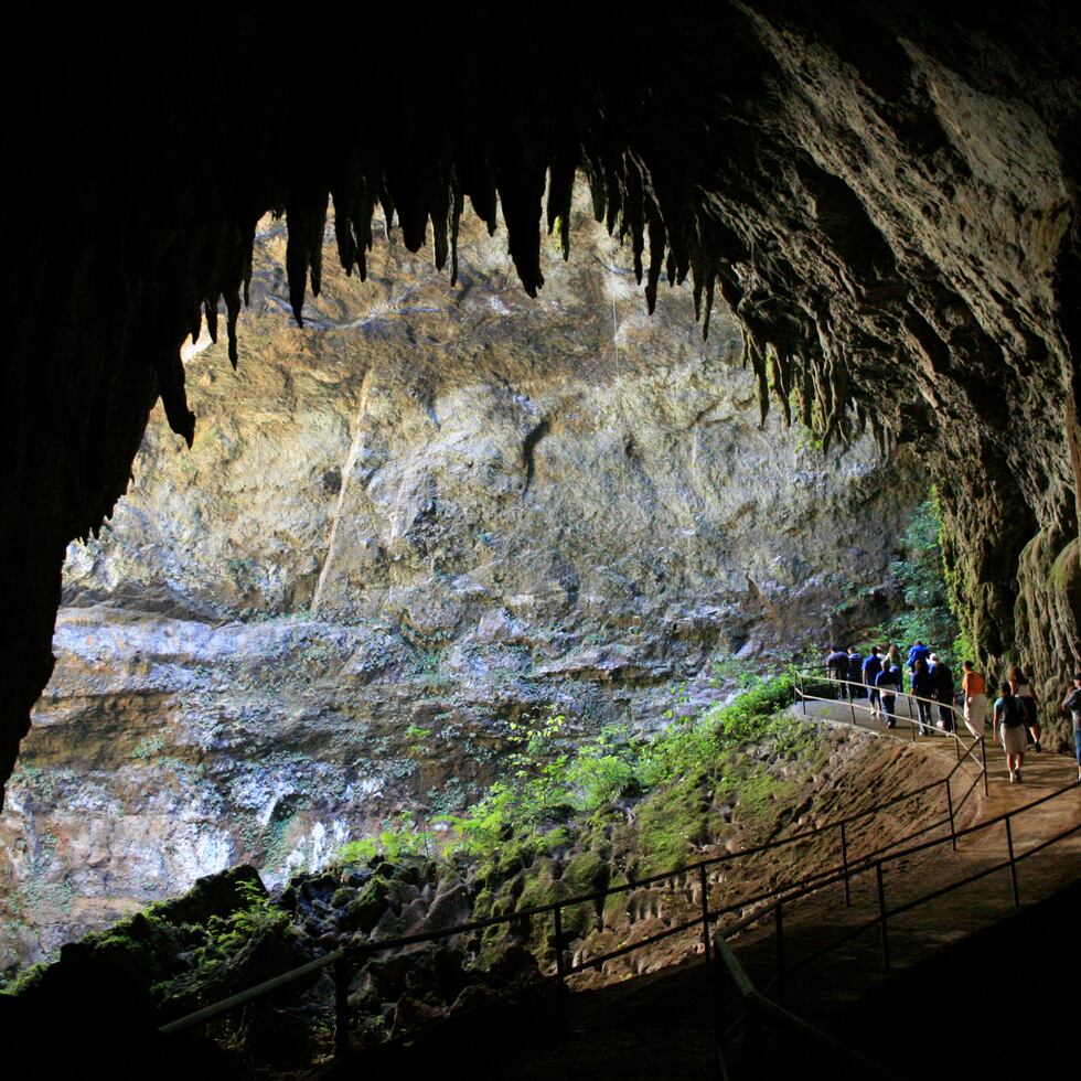 Sin duda, una de las maravillas naturales de este pueblo es el Parque las Cavernas del Río Camuy.