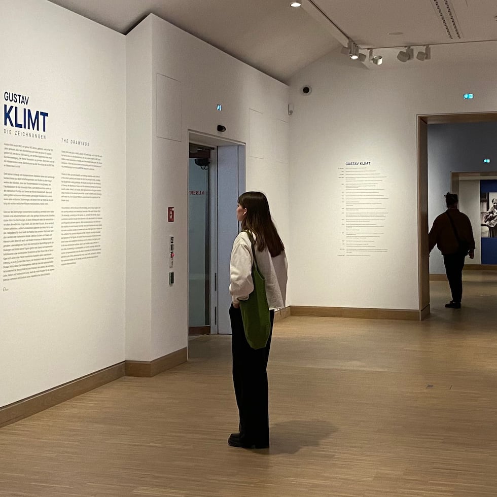 En la exposición "Gustav Klimt: Los dibujos", el famoso artista presenta la figura femenina como una fuente de excitación y del origen de la vida humana.