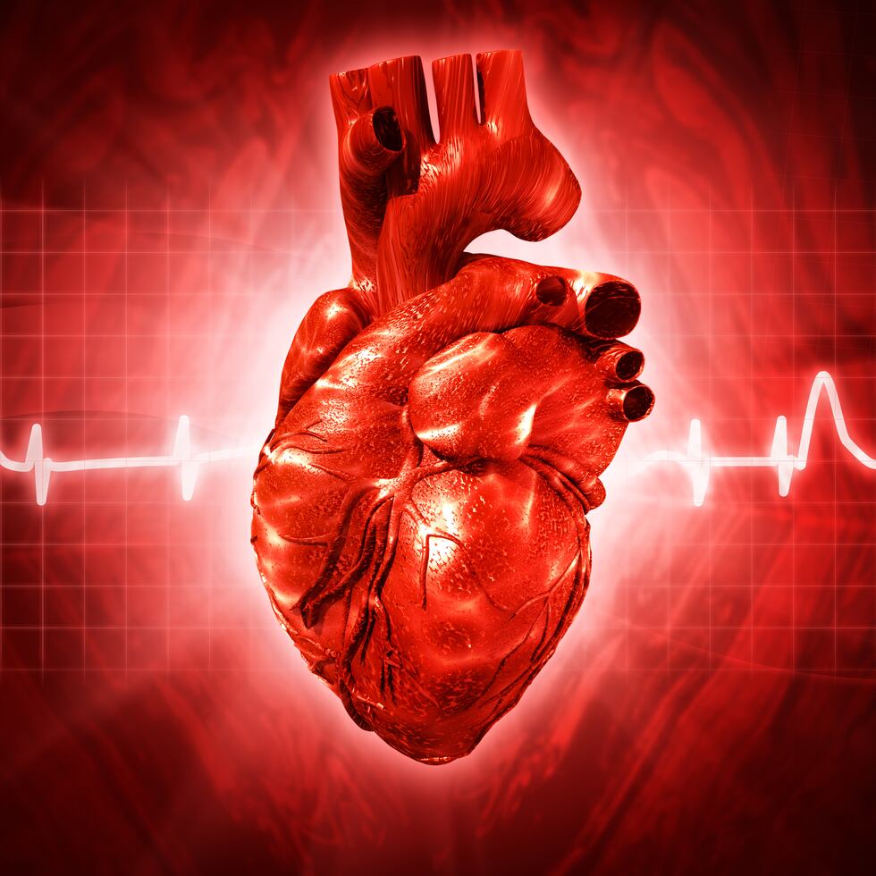 Reducir la ingesta de sodio en un 30% podría ayudar a disminuir la hipertensión, un factor de riesgo importante para la enfermedad cardiovascular. (Shutterstock)