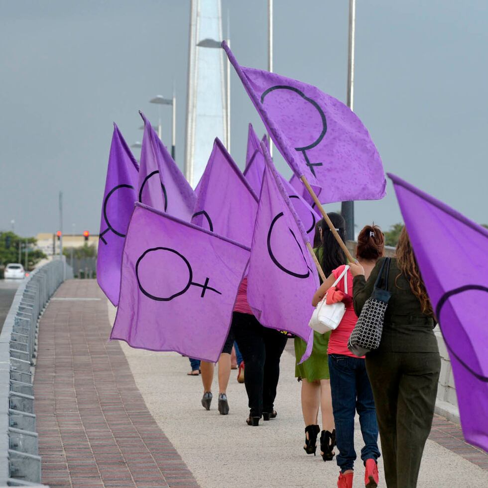 Según la Ley 20-2001, estatuto que crea la OPM, la designada a este cargo debe ser una mujer de “reconocida capacidad profesional e independencia de criterio, que se haya distinguido por su compromiso en la defensa de los derechos de las mujeres".