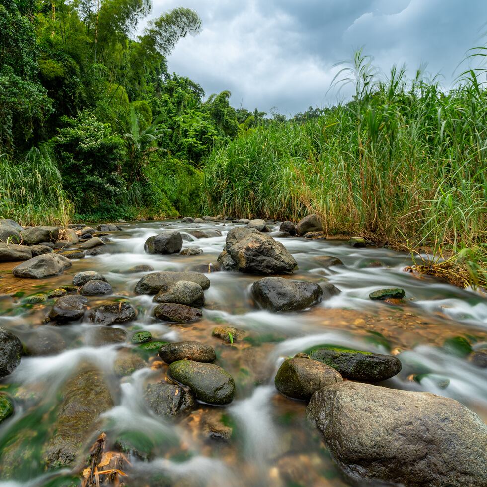 El Río Guaba, donde puedes darte un refrescante chapuzón.