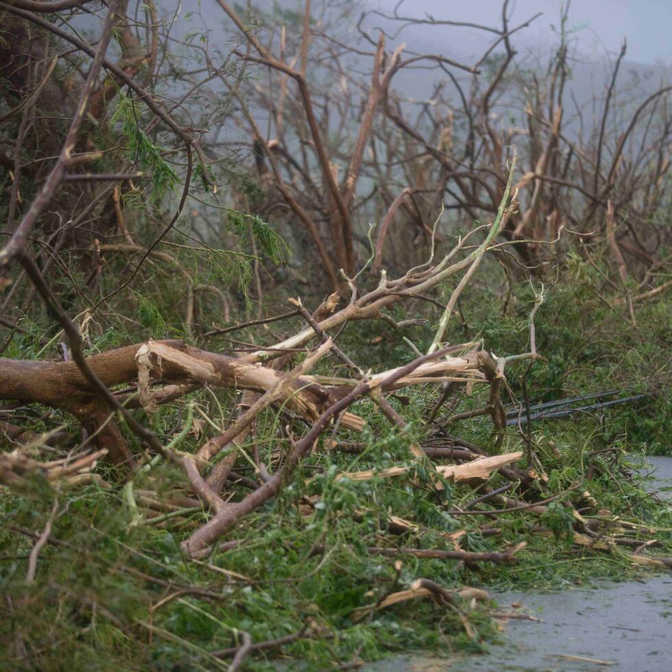 Optimismo realista para reconstruir a Puerto Rico