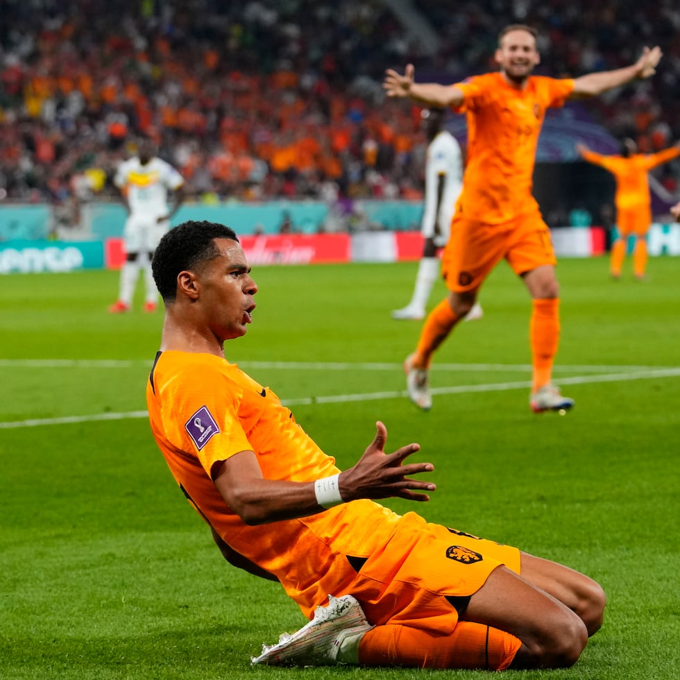 El delantero holandés Cody Gakpo celebra tras anotar el primer gol en el partido ante Senegal en el Grupo A del Mundial.