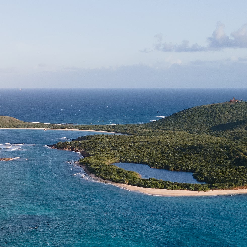 El USFWS destacó que los cabros son una de las especies que causan gran daño al hábitat de Culebrita.