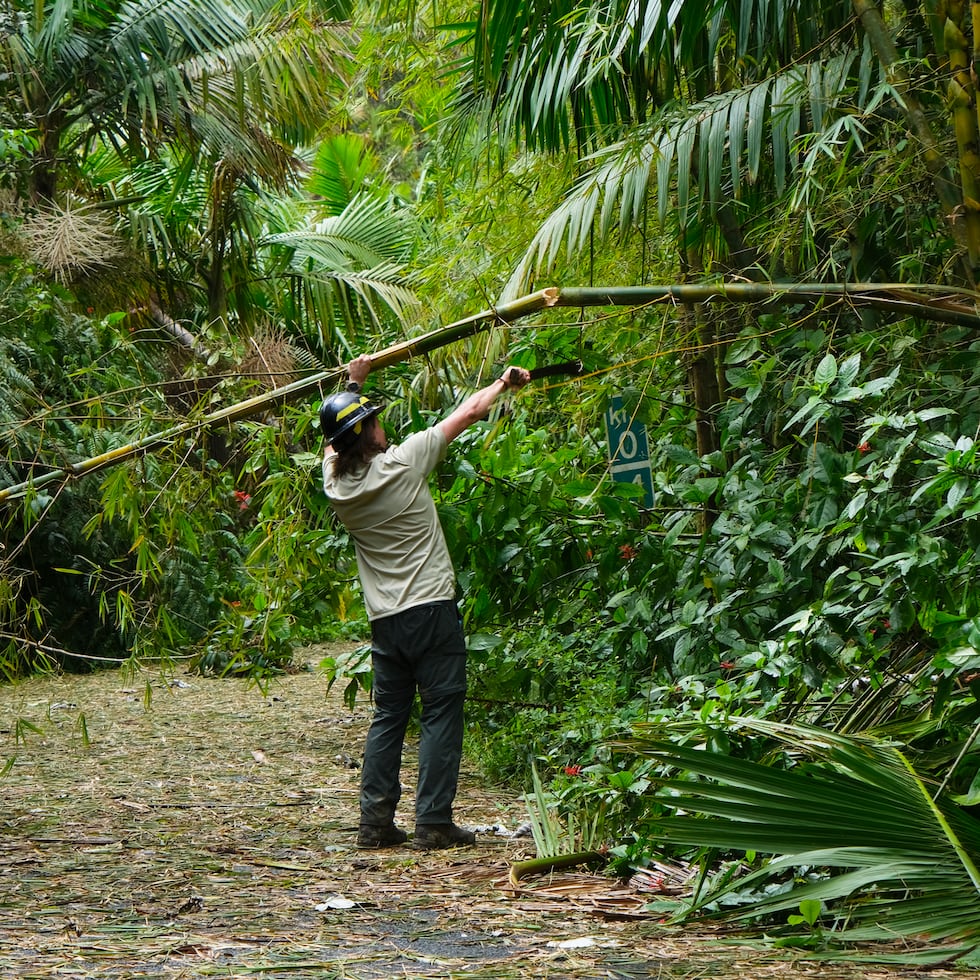 Personal de El Yunque ha trabajado en evaluaciones de daños, limpieza y remoción de escombros.