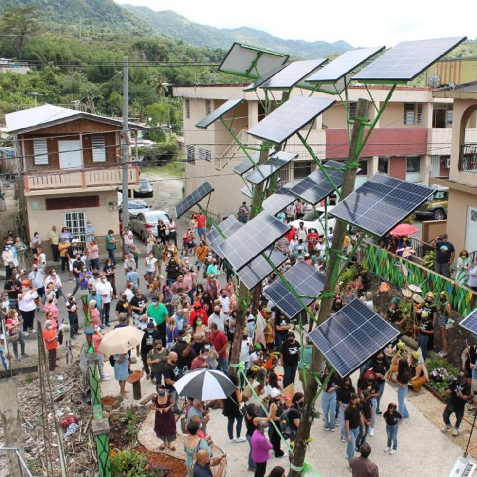 “Bosque Solar” en Adjuntas, un proyecto artístico de energía renovable.