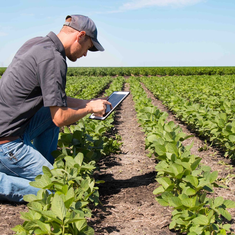 Es vital la preparación y educación de más personas en el campo de la agricultura para que como país tengamos seguridad alimentaria.