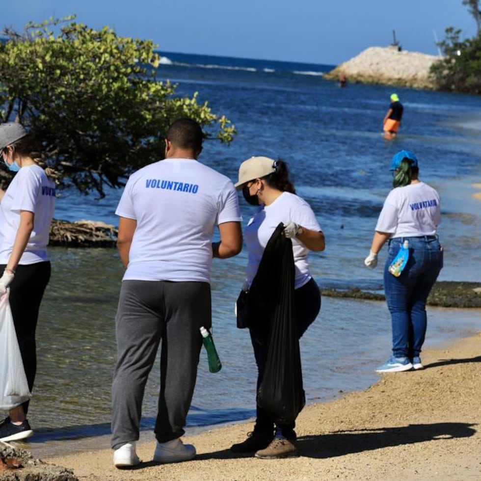 Las costas impactadas fueron: Cayo Ratones, Villa Pesquera, Las Salinas, Ponce Hilton, Costa Caribe y La Guancha.