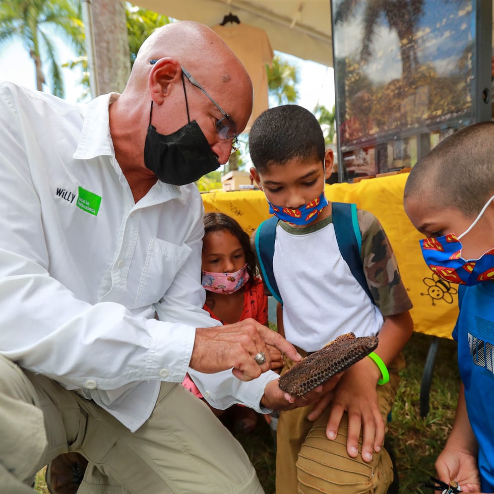 Tres niños aprenden sobre los nutrientes que se obtienen de un panal de abejas.