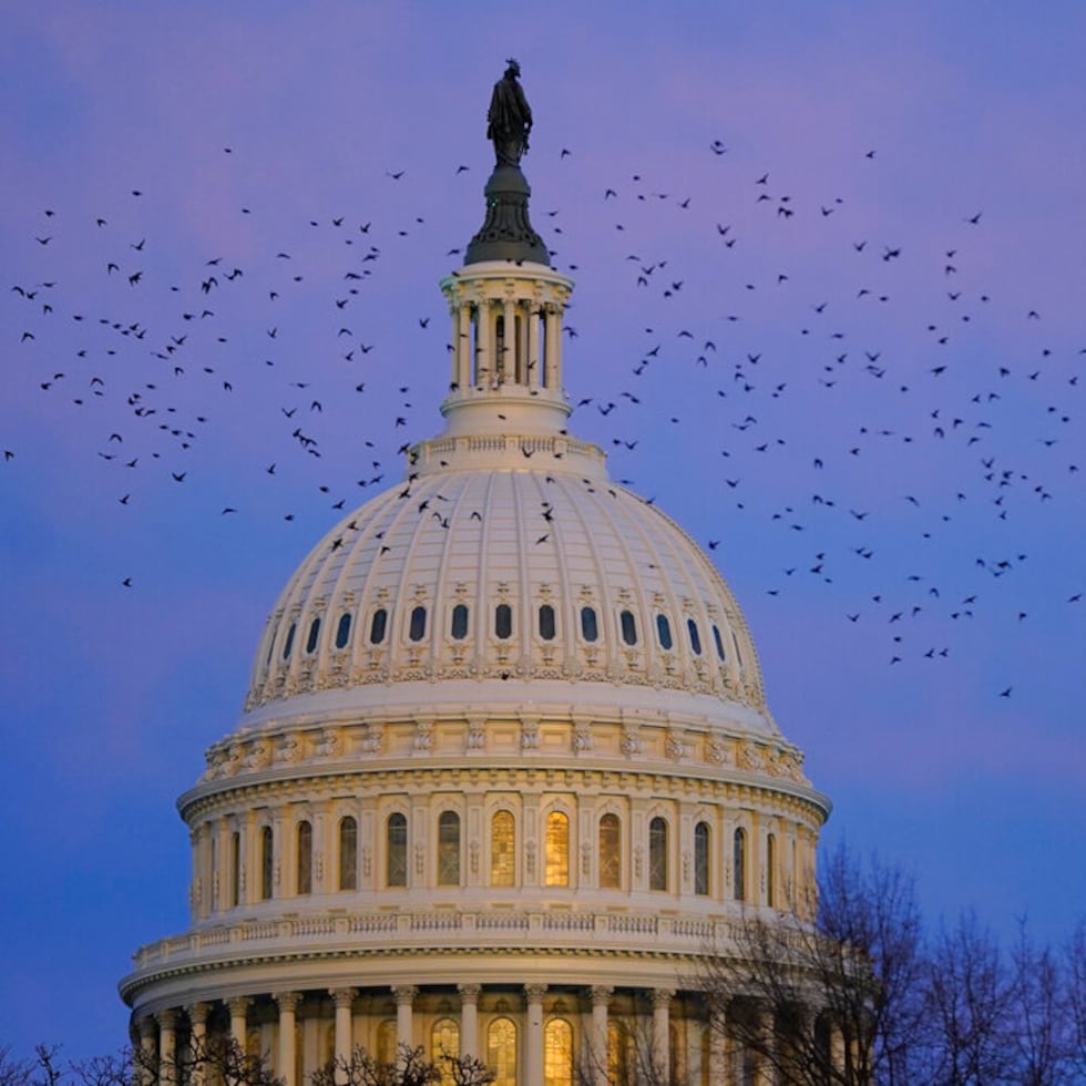 A murmuration of starlings fly past the U.S. Capitol dome as the sun sets on Capitol Hill in Washington, Wednesday, Jan. 4, 2023. (AP Photo/Patrick Semansky)