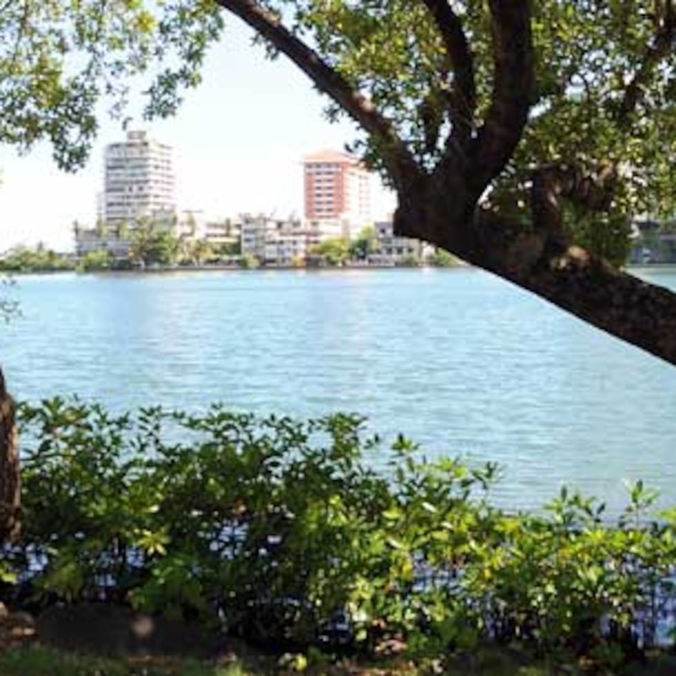 El uso de embarcaciones de motor, la pesca y la captura de especies está prohibida en la Laguna del Condado. (Archivo)