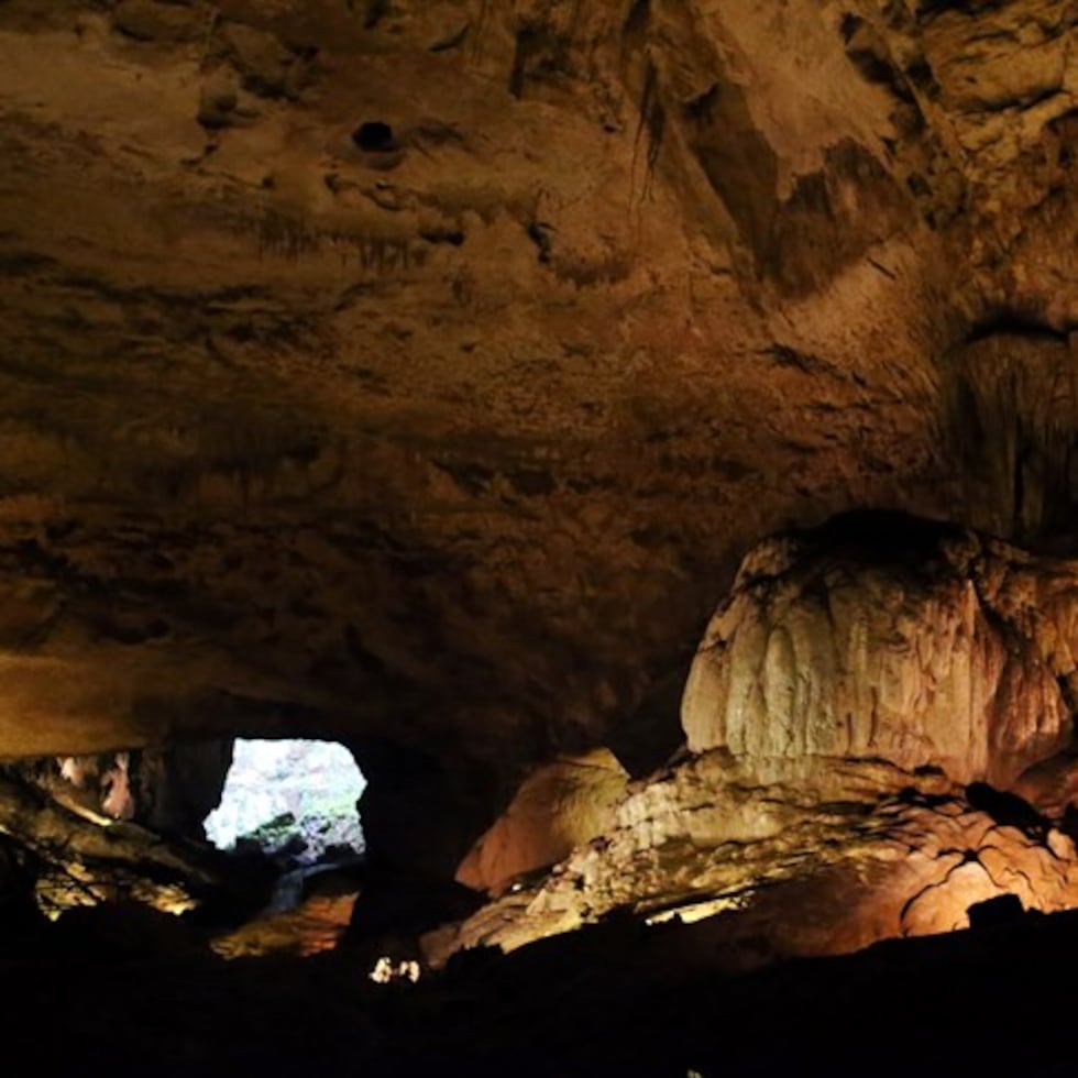 El Parque Nacional de las Cavernas del Río Camuy es apenas la parte desarrollada para el disfrute público de un sistema de cuevas, río subterráneo y biodiversidad que se reconoce como el más extenso del hemisferio y el tercero en el mundo. En total, los terrenos del parque ocupan 260 cuerdas en la zona ecológicamente crítica del karso.