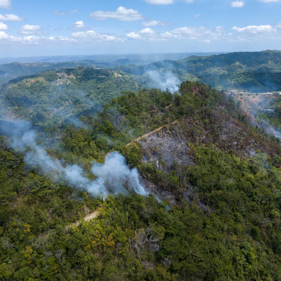 Imagen de archivo del incendio forestal que afectó parte de los terrenos del Bosque Estatal de Maricao.