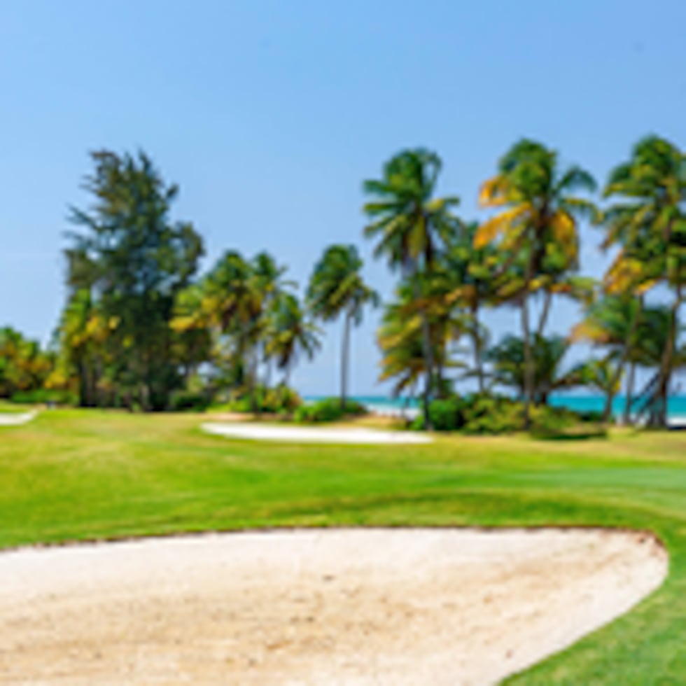 Are You a Golf Lover? Get to Know the Three Main Courses in Río Grande  