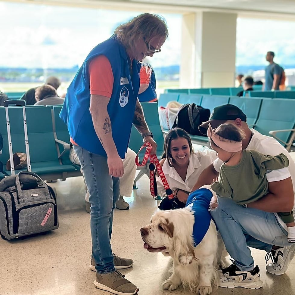 La organización Puerto Rico Therapy Dogs expandió su servicio voluntario de apoyo a la comunidad trayendo sus perros de terapia para el deleite de los pasajeros del Aeropuerto Internacional Luis Muñoz Marín en Carolina.