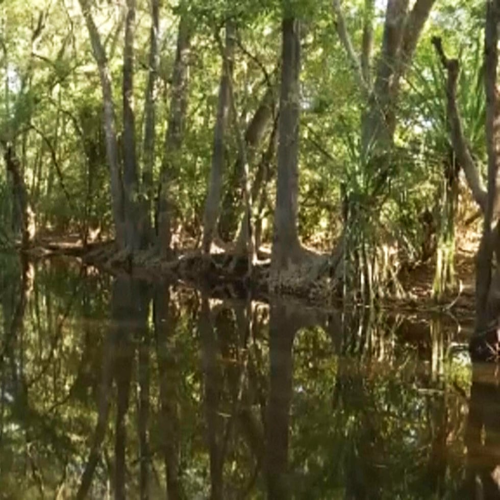 En esta imagen tomada de un video difundido por AuBC el jueves 4 de julio,, se muestra una zona de Palumpa, Australia, en donde el martes se reportó la desaparición de una niña después de que salió a nadar.