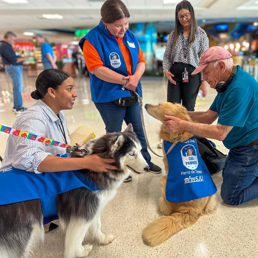 Los perros de Puerto Rico Therapy Dogs asisten a los pasajeros del Aeropuerto Internacional Luis Muñoz Marín a manejar su ansiedad de cara a sus vuelos.
