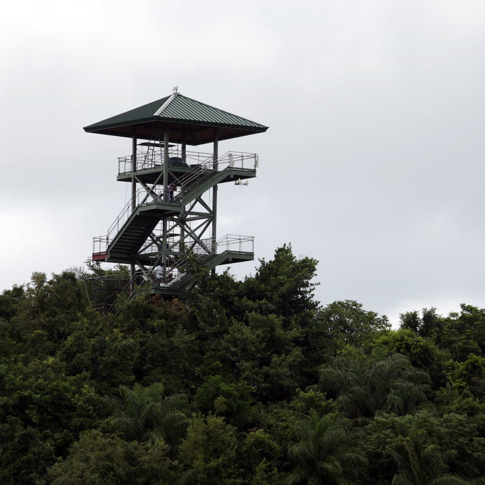 Foto de archivo de la torre de observación en el bosque metropolitano.