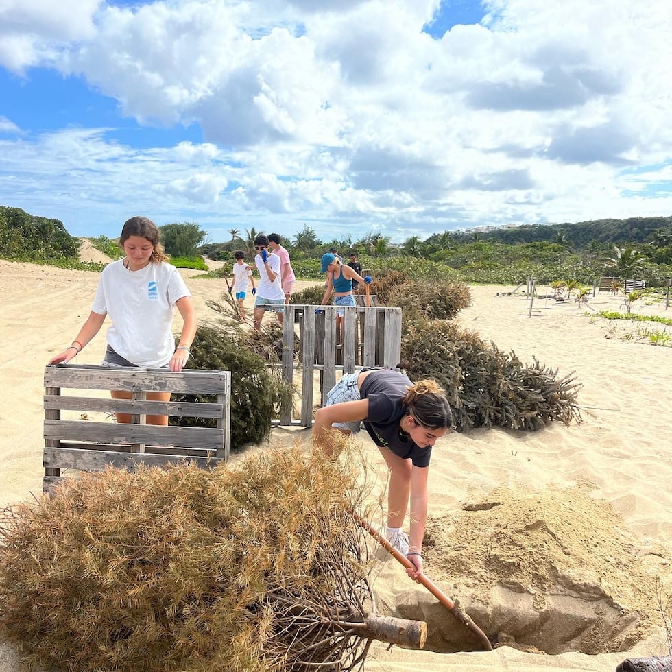 Según Héctor “Tito” Varela, la Surfrider Foundation reconoce las iniciativas del capítulo boricua, como la restauración de dunas (montículos de arena) en las comunidades y la siembra de aproximadamente 10 mil mangles el año pasado.