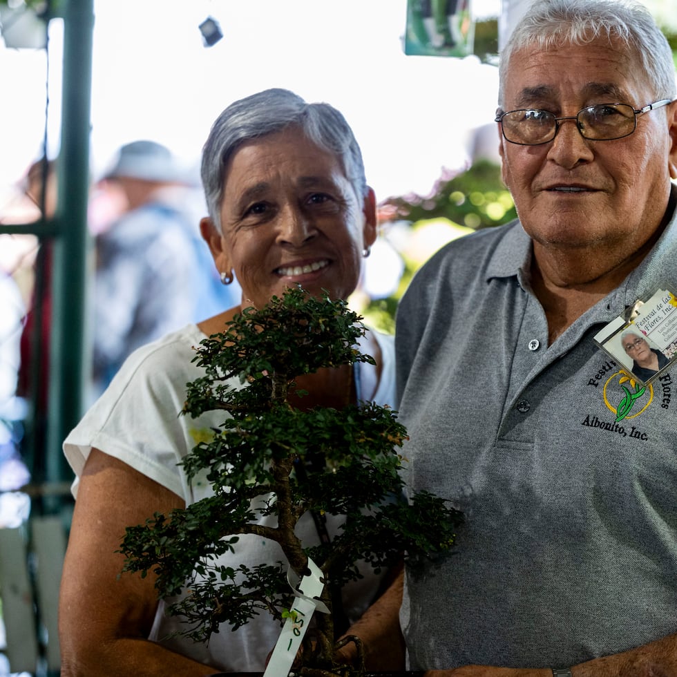 Nilda Rivera y Luis Collazo Jiménez, propietarios de Collazo Plants.