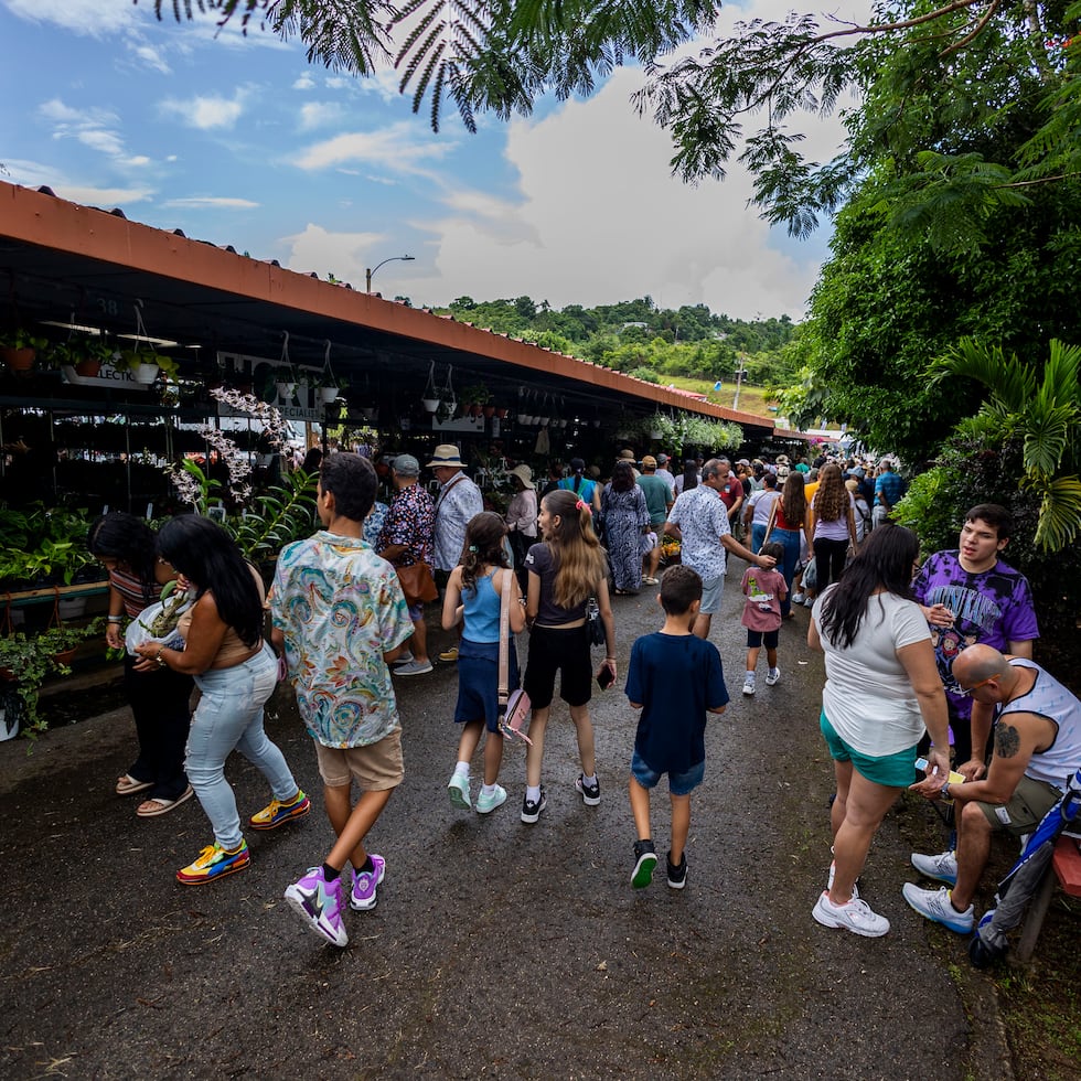 La operación del festival genera un centenar de empleos temporeros durante los diez días de celebración, principalmente a jóvenes de Aibonito, Barranquitas y Coamo, entre otros.