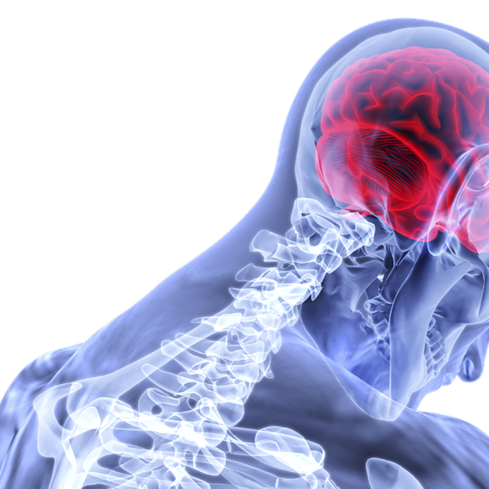 La médula espinal es una parte vital del sistema nervioso central, y su salud es fundamental para el funcionamiento de diversas actividades vitales en humanos y primates.