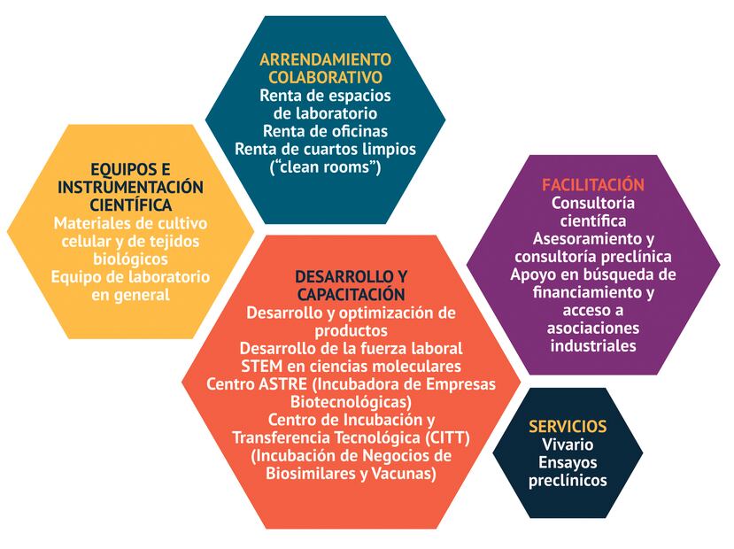 Gráfica del modelo de negocio del Centro Molecular de la UPR.
