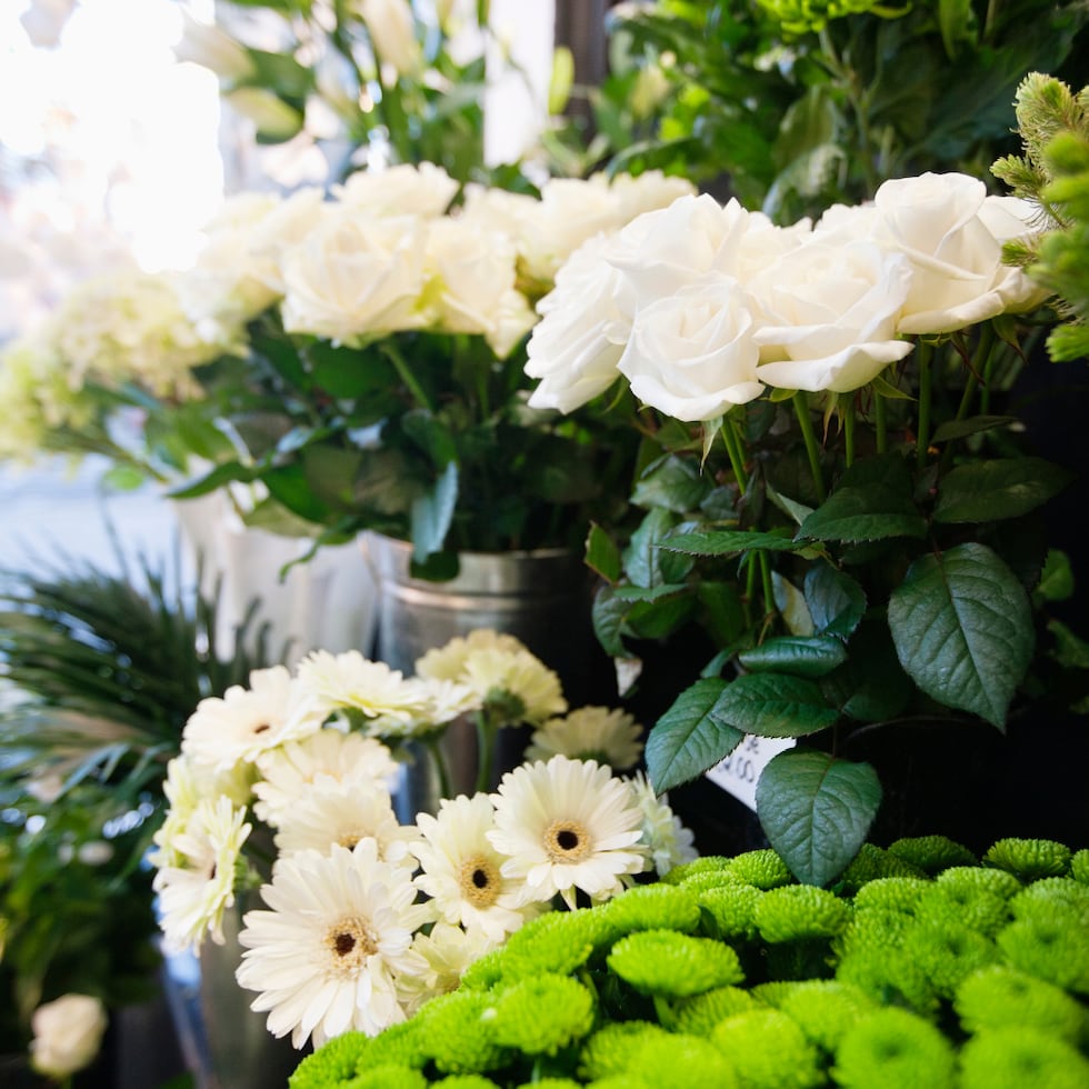 Croto Jr. Boutique Floral ofrece más de 25 alternativas de flores a sus clientes.